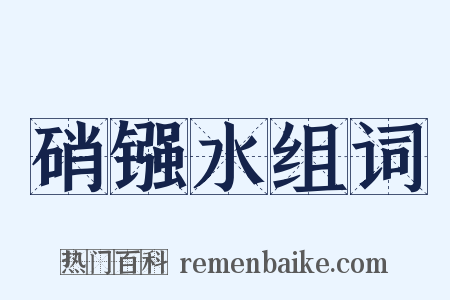硝镪水组词是什么意思的图片